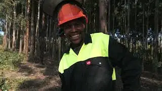 FP&M Seta - Virtual Chainsaw Video