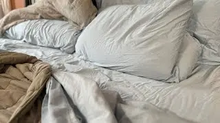 THREAD SPREAD 100% Egyptian Cotton King Size Sheets Set