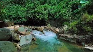 4K-HDR | Relaxing River Water Sounds for Sleep and Rest | Peaceful Nature Ambience to Calm the Mind