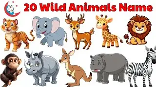 20 Wild Animals Name in English to Hindi 🐯 | Wild Animal Names for Kids | Kids Learning Video