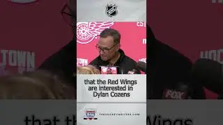 NHL Rumors for Jan 8: Zibanejad/Miller Trade Offer, Hronek's Return & Red Wings Interested in Cozens
