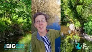Manchán Magan invites you to take part in Big River Watch