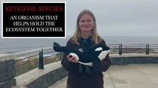 An Orca Kind of Life
