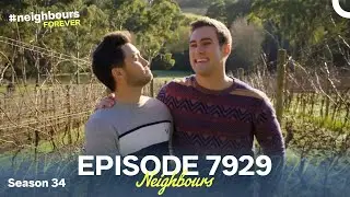 Neighbours Season 34 Episode 7929 (2018)