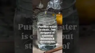 Spring Water vs. Purified Water&mdash;Is Your Water Really Hydrating You?