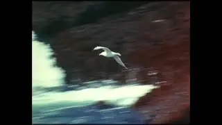 (VERY RARE) AMBIENT X EXPERIMENTAL TYPE BEAT - 
