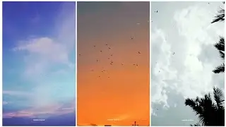 Nature Whatsapp status 💚 | New Aesthetic Nature Video HunGer CharLie #shorts