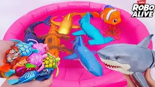 [🐋toy asmr🐋] ZURU Robo Shark & Ocean Animal Toys Unboxing | Colorful Sea Creatures ASMR