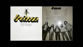Pelican &ndash; You Can Go My Way ( 1975, Progressive Pop, Iceland )
