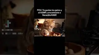 sonidos con agua con el gato aesemere :3 #asmr #memes #cats #gatos #pubg #humor #chat #michis #risa