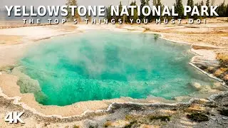 Yellowstone National Park Top 5 Things To Do