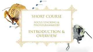Focus Stacking and Photogrammetry Course: Introduction and Overview