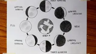 How to draw the phases of the moon - step by step / How to draw the phases of the moon diagram easy