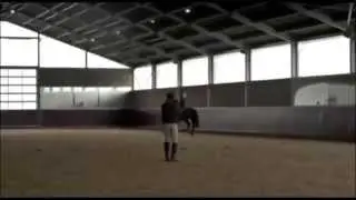 Dressage&Music - 'Diamond's tango' by D&M - Morgan Barbançon & Vitana
