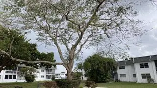 6505 Winfield Blvd, Margate, FL Presented by Carlos Martell.