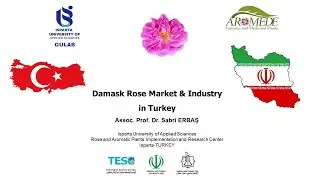 Damask Rose Market & Industry in Turkey