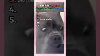 Ranking best dog cake trolls moments