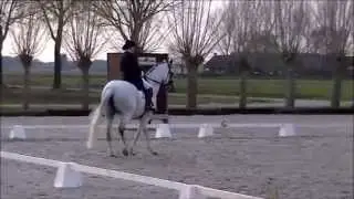 Thamar Zweistra - Vinegra-Utopia - Prix St Georges - Hulten 29 maart 2014