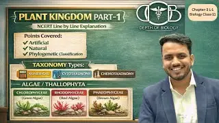 plant kingdom | Taxonomy Type | Chlorophyceae | phaeophyceae | Rhodophyceae | Biology class 11 Ncert