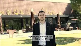 El trabajo de sommelier en Oller del Mas