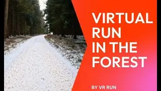 Virtual Running in the forest (Swabian Albs, Germany) (Treadmill/Stepper/Stairmaster/Laufband)Cardio