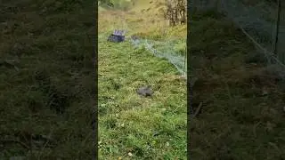 Straight into the net (longnetting a banking)