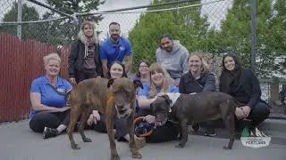 Subaru of Portland | The Subaru Love Promise