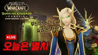 [WoW 클래식] 이렇게 허약해서 험한 불성을 어떻게 헤쳐나가지..🥶