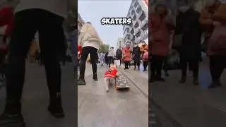 Skateboarding Pug Shocks Everyone with His Skills!