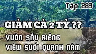 giảm đến 2 tỷ bán nhanh vườn sầu riêng vieew suối .đất vườn vùng ven bà rịa vũng tàu