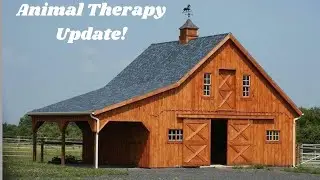 Animal Therapy Update - The Barn