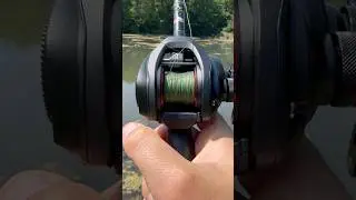 Green That Holds Strong 🌲🎣 #NoFade #reactiontackle