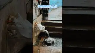 Kadri sri manjunatha swamy temple | theertha kere | shiva