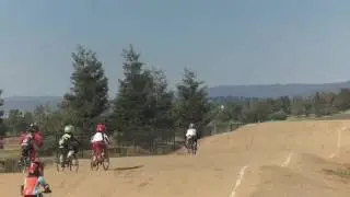 Northbay BMX state race 2016