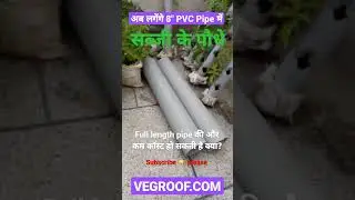 PVC Pipe me Sabzi ke paudhe #verticalfarming #verticalgardenideas