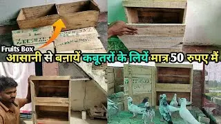 Make a setup for pigeons from a box of fruits | Pigeon Wooden Setup