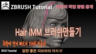 Zbrush에서 Hair IMM brush 만들기! (only korean version)  취향에 맞게 만들어봅시다!!