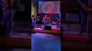 Southern Roots Band- Friends In Low Places COVER