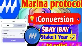 Marina Protocol BAY Conversion LIVE 😱 | $BAY Stake 1 Year Worth It?
