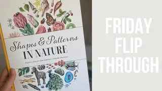 Shapes and patterns in nature | book flip through