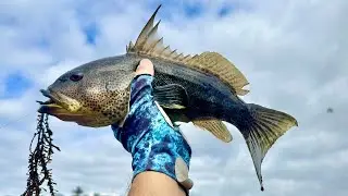 How I use HOOKUP BAITS to CATCH MORE FISH | Carlsbad Lagoon