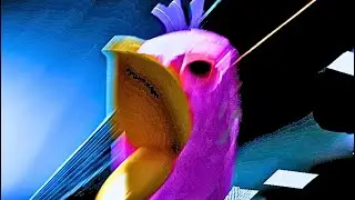 I Met Opilia Bird at 3 AM!
