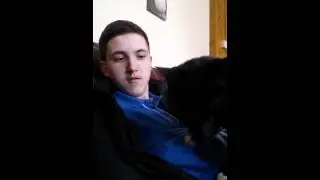 Cute Cat - Hungover