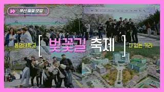 🌸부산 숨겨진 벚꽃 맛집! 2025년 동명대학교 벚꽃 축제🌸