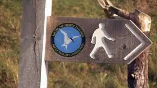 Newborough Forest Design Plan (English narration)
