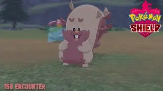Shiny Greedent In Pokemon Shield After 150 Encounter