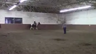 Tic Tac - Adorable Large Pony Mare