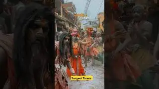 🚩Mahakumbh 2025🏞️ka aarambh hai mahakumbh Prayagraj aghori🔱baba#shorts#trending#aghori#mahakumbh2025