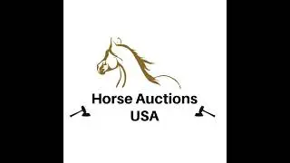 Ocala Horse Sale - Ocala, Florida