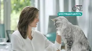 Реклама 05 Purina One женский голос Луиза Валерьевна Суслова